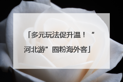多元玩法促升温！“河北游”圈粉海外客