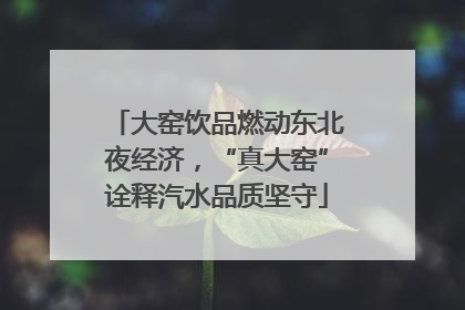 大窑饮品燃动东北夜经济，“真大窑”诠释汽水品质坚守