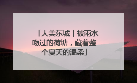 大美东城｜被雨水吻过的荷塘，藏着整个夏天的温柔
