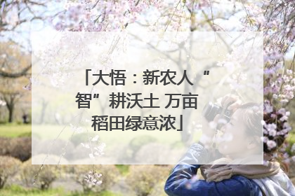 大悟：新农人“智”耕沃土 万亩稻田绿意浓