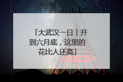 大武汉一日︱开到六月底，这里的花比人还高