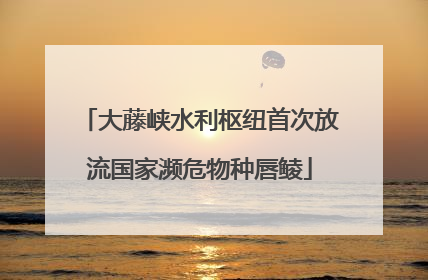 大藤峡水利枢纽首次放流国家濒危物种唇鲮