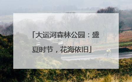 大运河森林公园：盛夏时节，花海依旧