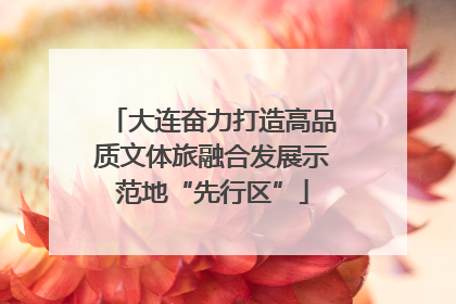 大连奋力打造高品质文体旅融合发展示范地“先行区”