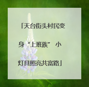 天台街头村民变身“上班族” 小灯具照亮共富路