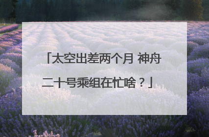 太空出差两个月 神舟二十号乘组在忙啥？