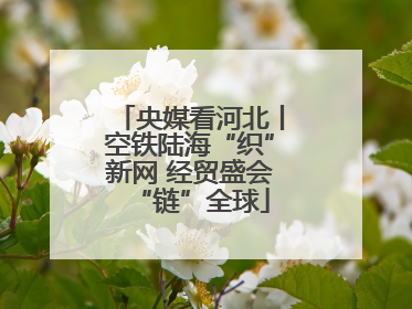 央媒看河北丨空铁陆海“织”新网 经贸盛会“链”全球