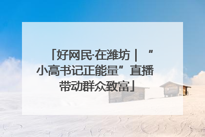 好网民·在潍坊｜“小高书记正能量”直播 带动群众致富