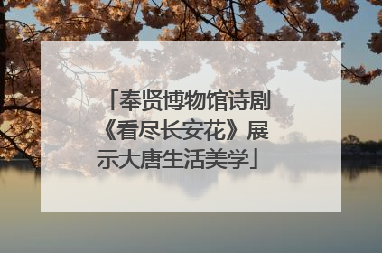 奉贤博物馆诗剧《看尽长安花》展示大唐生活美学