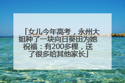 女儿今年高考，永州大姐种了一块向日葵田为她祝福：有200多棵，送了很多给其他家长