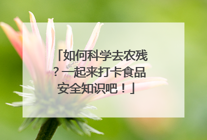 如何科学去农残？一起来打卡食品安全知识吧！