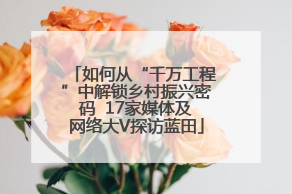 如何从“千万工程”中解锁乡村振兴密码  17家媒体及网络大V探访蓝田