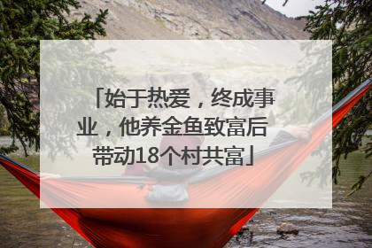 始于热爱，终成事业，他养金鱼致富后带动18个村共富