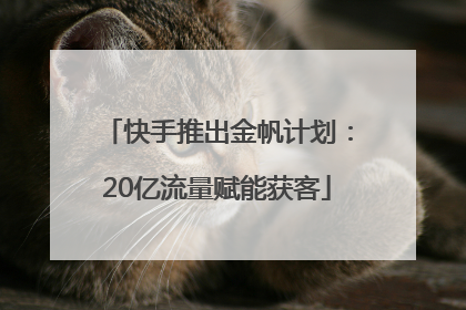快手推出金帆计划：20亿流量赋能获客