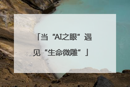 当“AI之眼”遇见“生命微雕”