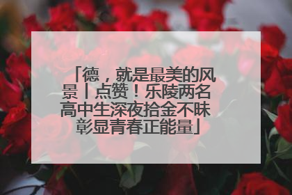 德，就是最美的风景丨点赞！乐陵两名高中生深夜拾金不昧 彰显青春正能量