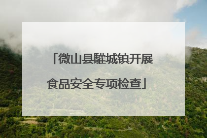 微山县驩城镇开展食品安全专项检查