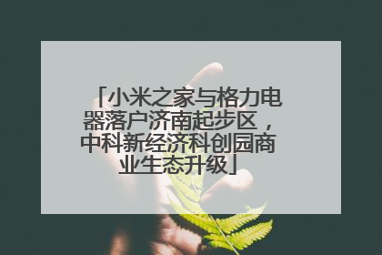 小米之家与格力电器落户济南起步区，中科新经济科创园商业生态升级