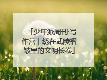少年派周刊·写作营｜绣在武陵褶皱里的文明长卷