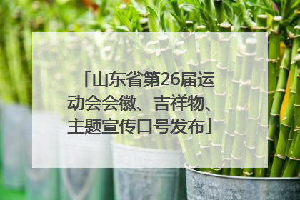 山东省第26届运动会会徽、吉祥物、主题宣传口号发布