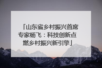山东省乡村振兴首席专家杨飞：科技创新点燃乡村振兴新引擎