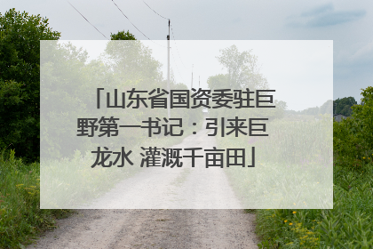 山东省国资委驻巨野第一书记：引来巨龙水 灌溉千亩田