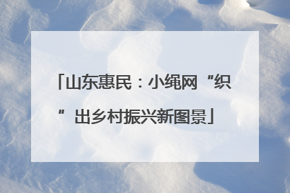 山东惠民：小绳网“织”出乡村振兴新图景