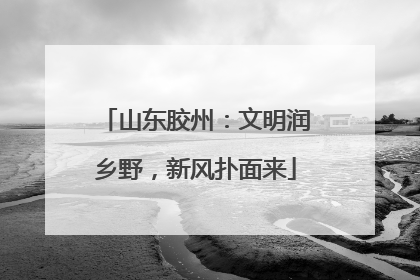 山东胶州：文明润乡野，新风扑面来