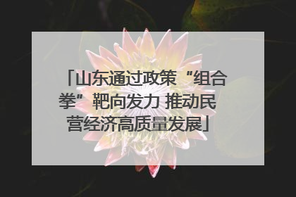 山东通过政策“组合拳”靶向发力 推动民营经济高质量发展