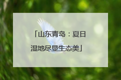 山东青岛：夏日湿地尽显生态美