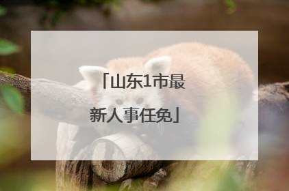 山东1市最新人事任免