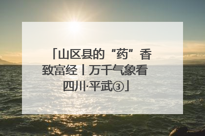 山区县的“药”香致富经丨万千气象看四川·平武③