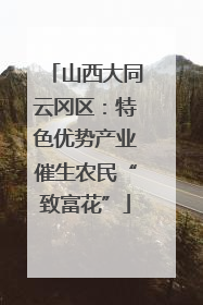 山西大同云冈区：特色优势产业催生农民“致富花”