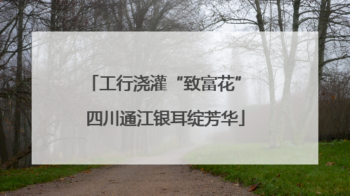 工行浇灌“致富花” 四川通江银耳绽芳华