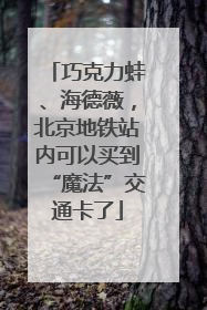 巧克力蛙、海德薇，北京地铁站内可以买到“魔法”交通卡了