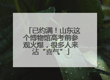 已约满！山东这个博物馆高考前参观火爆，很多人来沾“喜气”