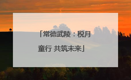 常德武陵：税月童行 共筑未来
