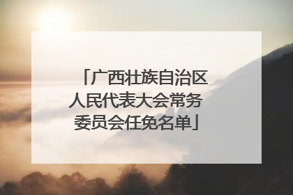 广西壮族自治区人民代表大会常务委员会任免名单