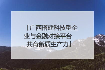 广西搭建科技型企业与金融对接平台 共育新质生产力