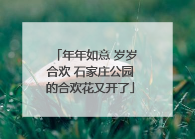 年年如意 岁岁合欢 石家庄公园的合欢花又开了