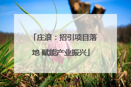 庄浪：招引项目落地 赋能产业振兴