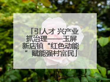 引人才 兴产业 抓治理——玉屏新店镇“红色动能”赋能强村富民