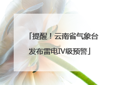 提醒！云南省气象台发布雷电Ⅳ级预警
