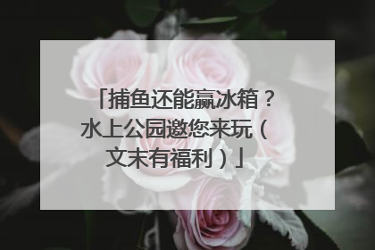 捕鱼还能赢冰箱？水上公园邀您来玩（文末有福利）