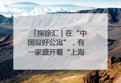 探徐汇｜在“中国最好公寓”，有一家盛开着“上海玫瑰”的书店