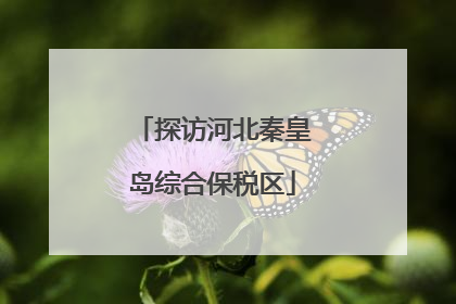 探访河北秦皇岛综合保税区