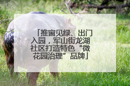推窗见绿、出门入园，军山街龙湖社区打造特色“微花园治理”品牌
