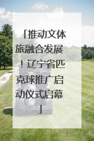 推动文体旅融合发展！辽宁省匹克球推广启动仪式启幕