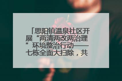思阳镇温泉社区开展“两清两改两治理”环境整治行动——七栋全面大扫除，共建洁净家园