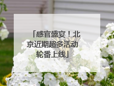 感官盛宴！北京近期超多活动轮番上线